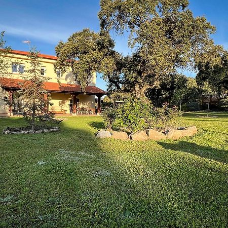 La Encina Guapa Casa Rural 20,000M2 De Intimidad Villa La Iglesuela Eksteriør billede