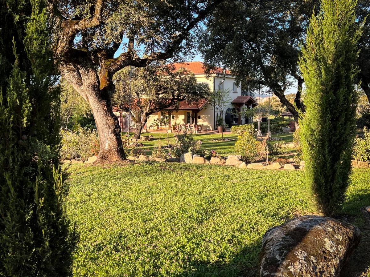 La Encina Guapa Casa Rural 20,000M2 De Intimidad Villa La Iglesuela Eksteriør billede