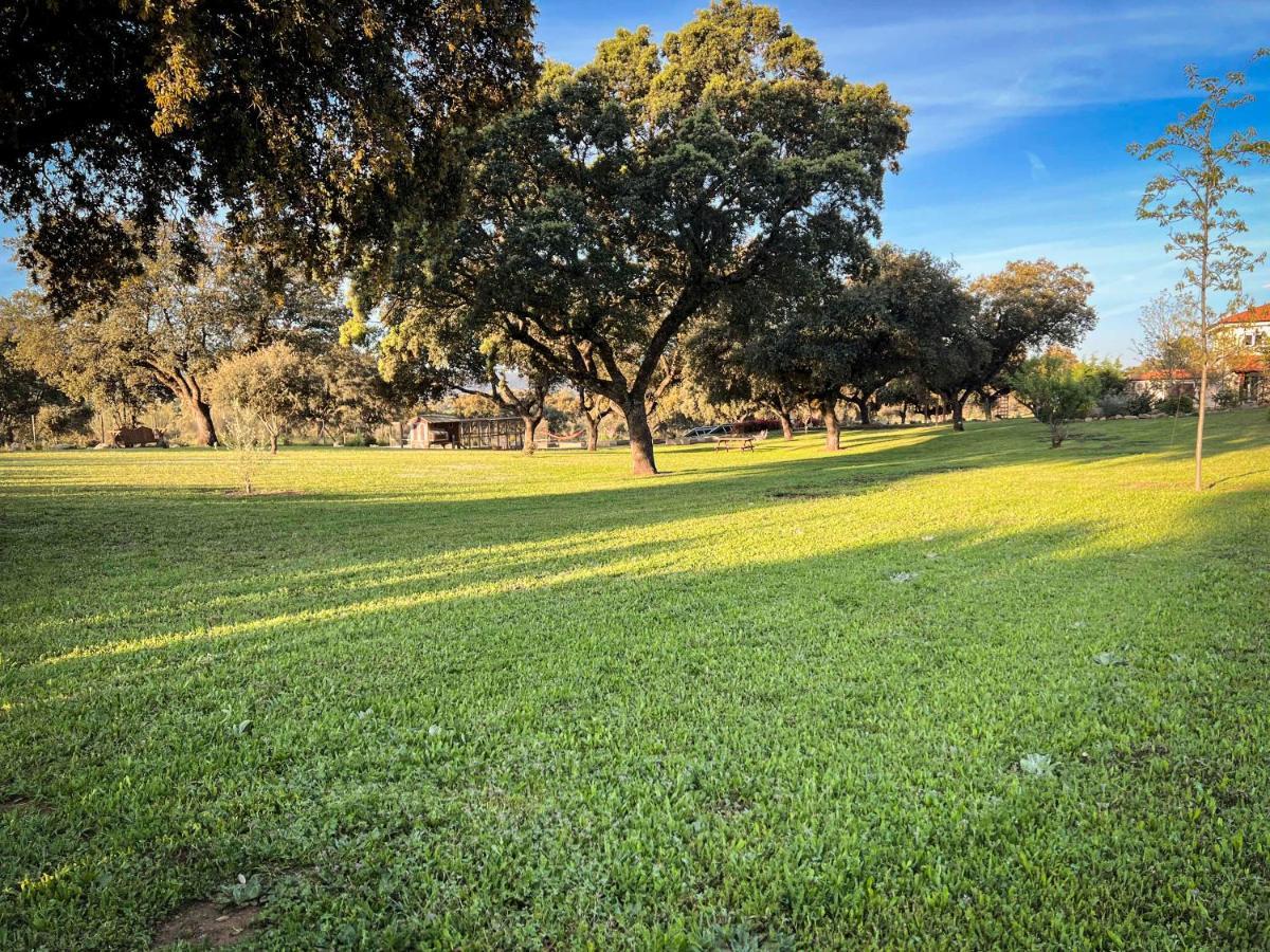 La Encina Guapa Casa Rural 20,000M2 De Intimidad Villa La Iglesuela Eksteriør billede