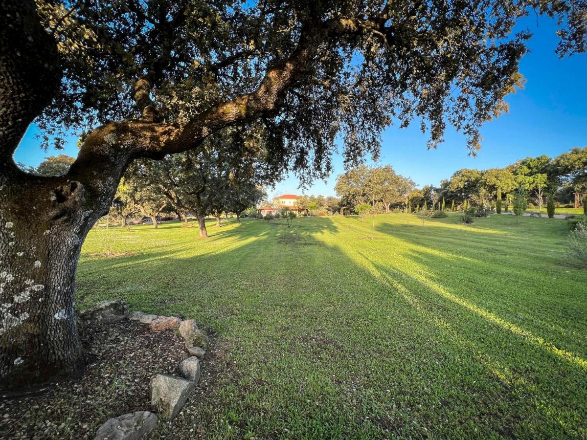 La Encina Guapa Casa Rural 20,000M2 De Intimidad Villa La Iglesuela Eksteriør billede