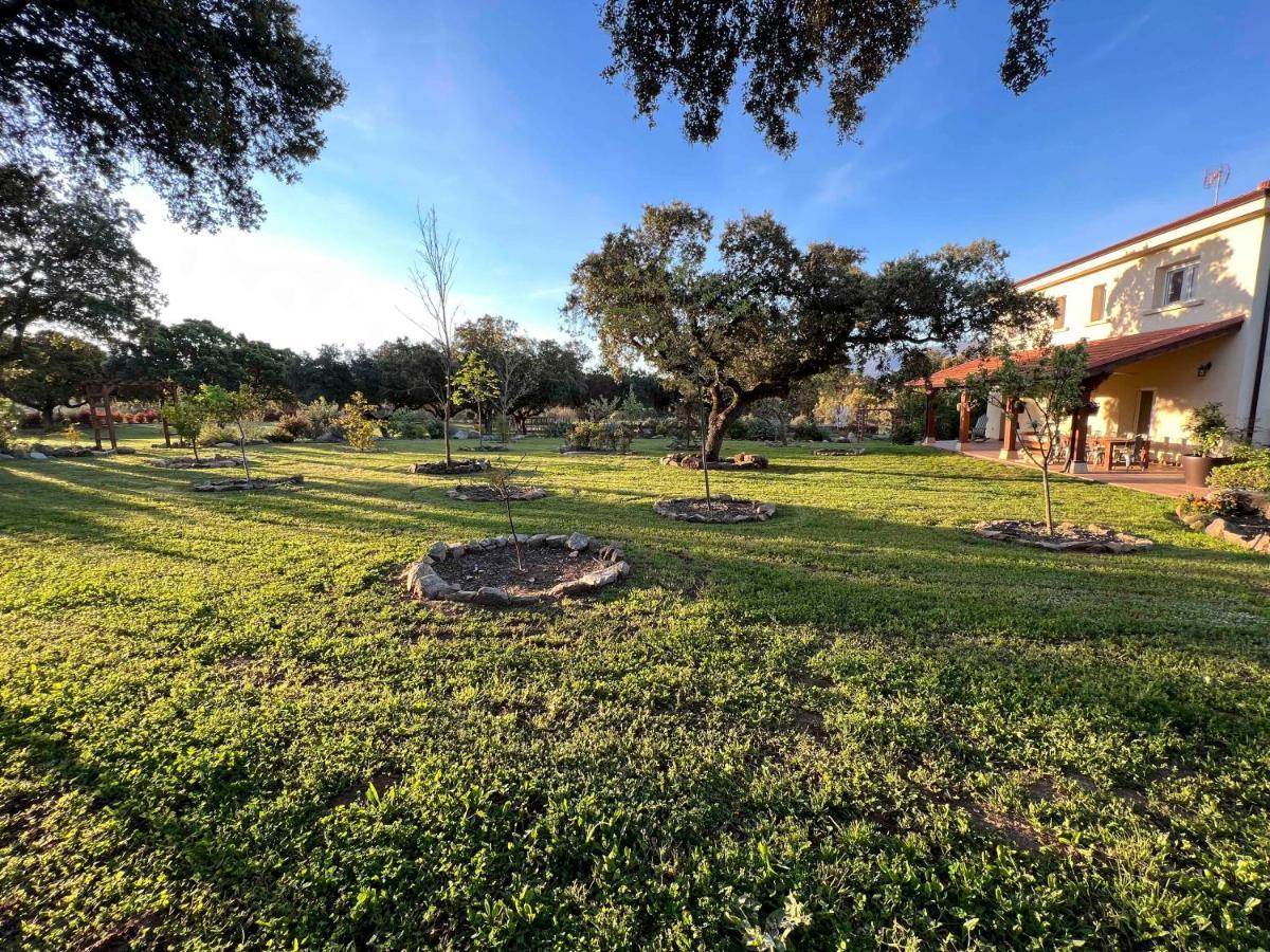La Encina Guapa Casa Rural 20,000M2 De Intimidad Villa La Iglesuela Eksteriør billede