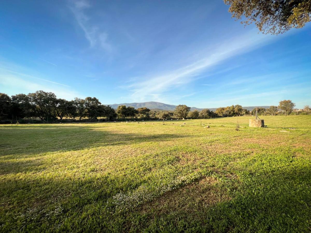 La Encina Guapa Casa Rural 20,000M2 De Intimidad Villa La Iglesuela Eksteriør billede