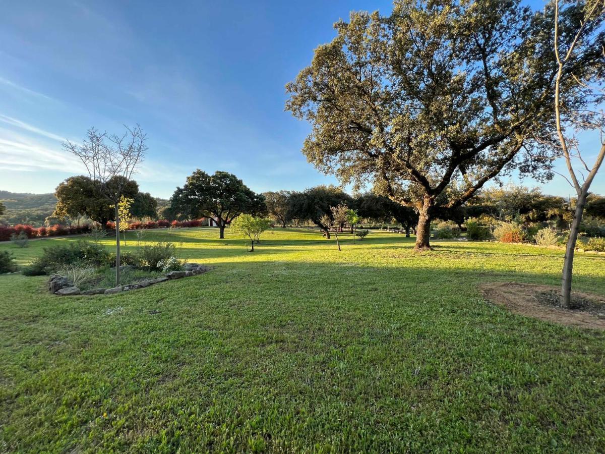 La Encina Guapa Casa Rural 20,000M2 De Intimidad Villa La Iglesuela Eksteriør billede